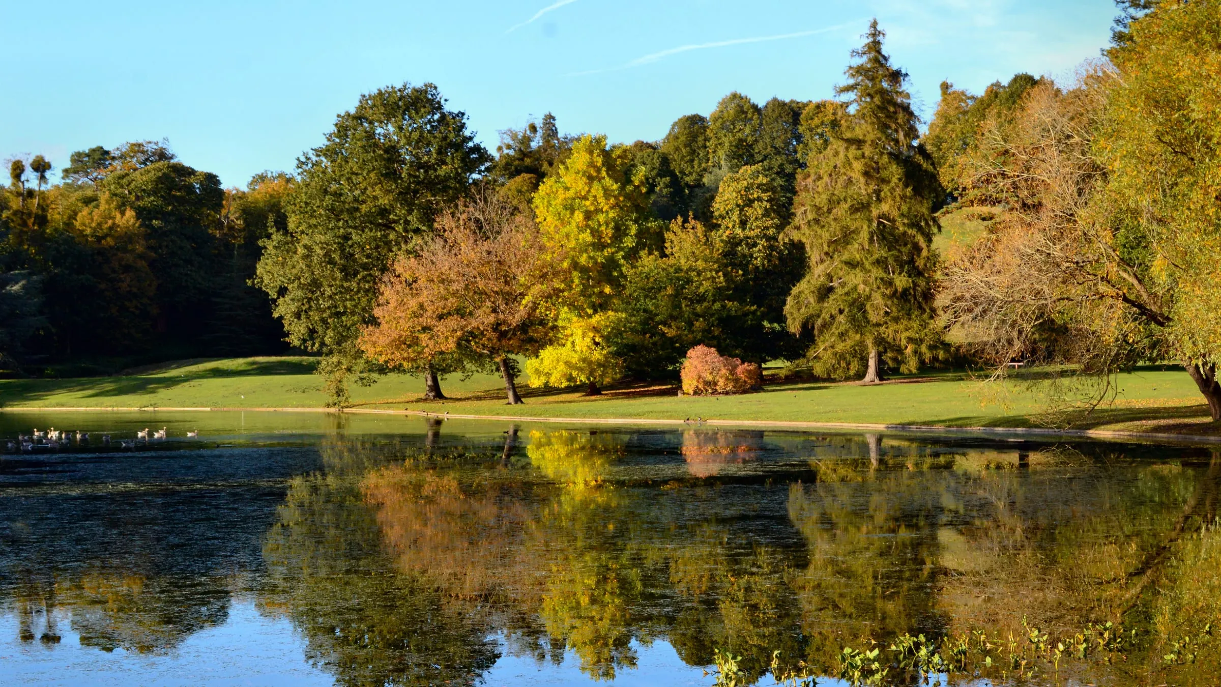 Autumn trees reflected in the lake at Claremont Landscape Garden, Esher